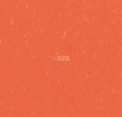 Forbo Marmoleum Solid Piano 3651-365135 zinnia фото 1 | FLOORDEALER